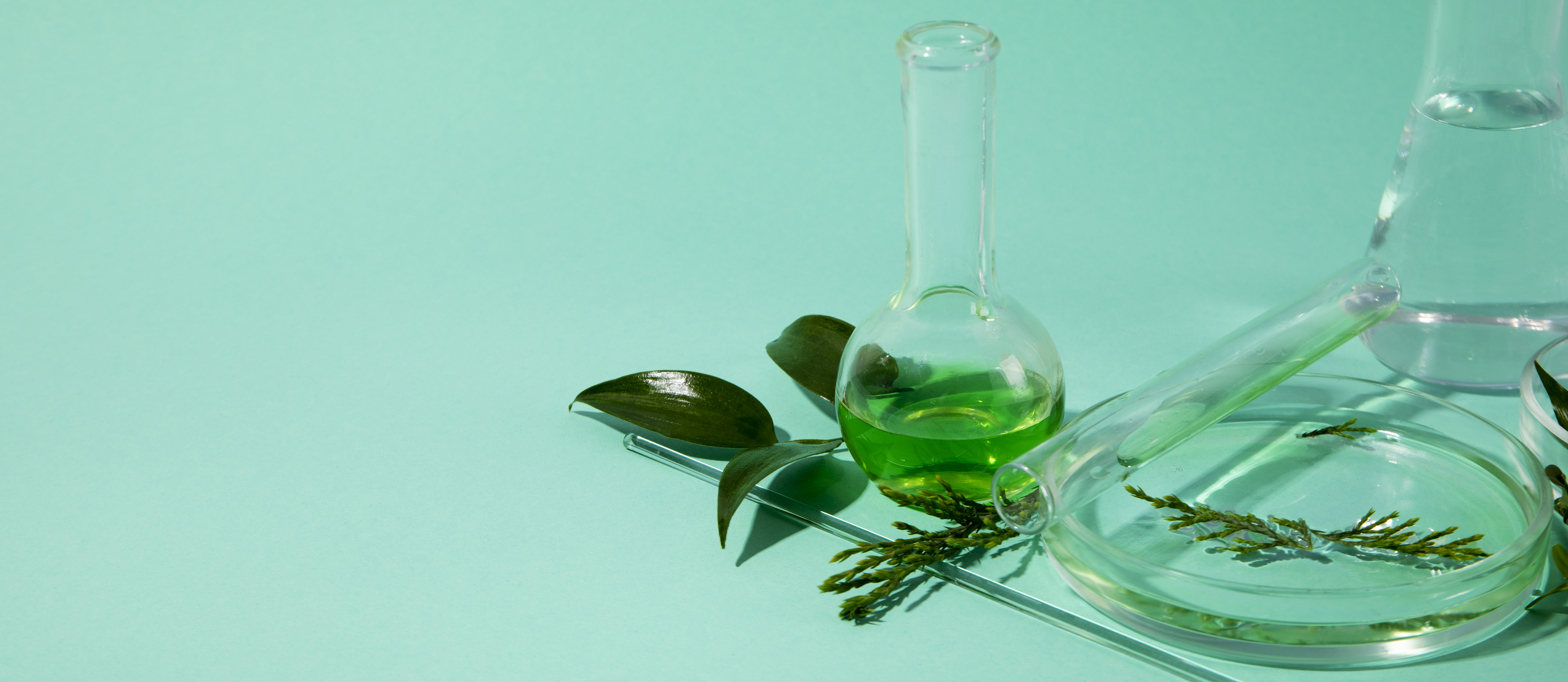 Bio-Derived Polyamide: Technological Innovations and Environmental Impact