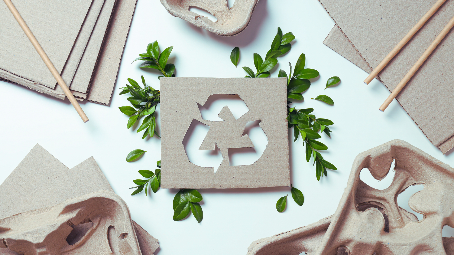 Ensuring Credible Packaging Claims: PPWR & the Green Claims Directive