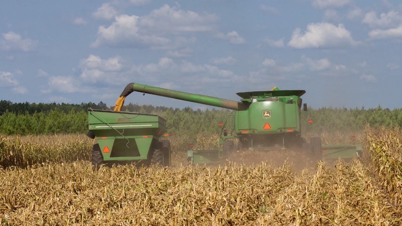 Digital Twins in Agriculture: Revolutionizing Efficiency and Sustainability