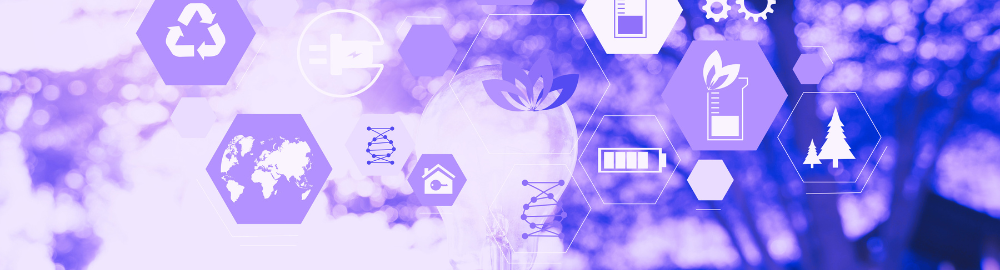 EV infrastructure  in Sustainable Mobility