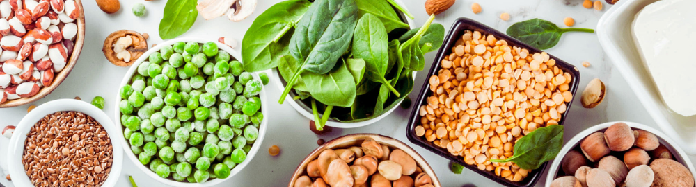 How Sustainable Protein Alternatives Are Shaping the Future