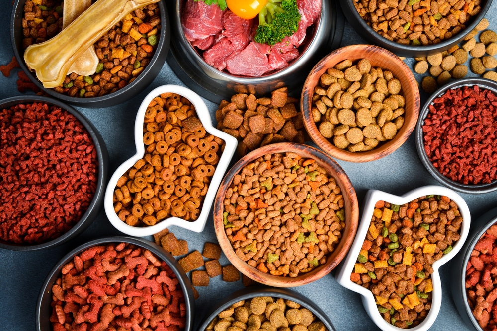 Taiwan Pet Food Market: A Dynamic and Expanding Sector