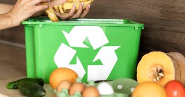 Upcycled Ingredients- Unlocking Scalable Value from Food Waste Streams
